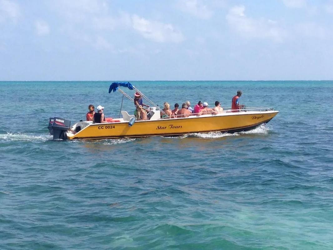 Tropical Paradise Caye Caulker Bagian luar foto