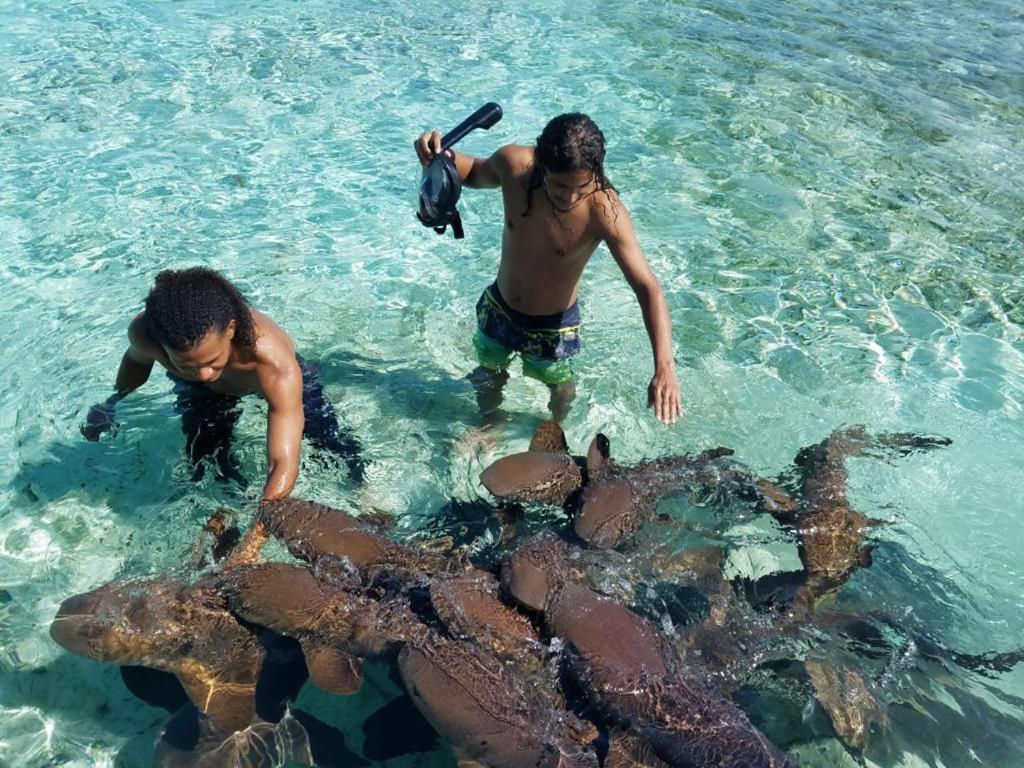 Tropical Paradise Caye Caulker Bagian luar foto