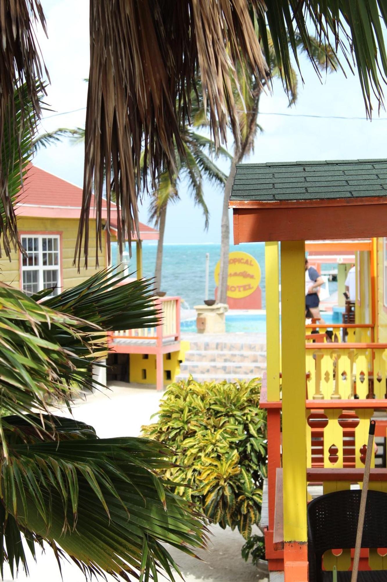 Tropical Paradise Caye Caulker Bagian luar foto
